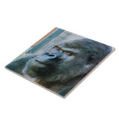 ゴリラ タイル (側面)