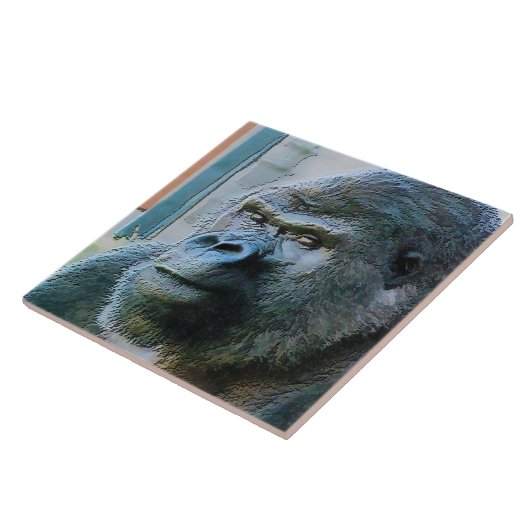 ゴリラ タイル (側面)