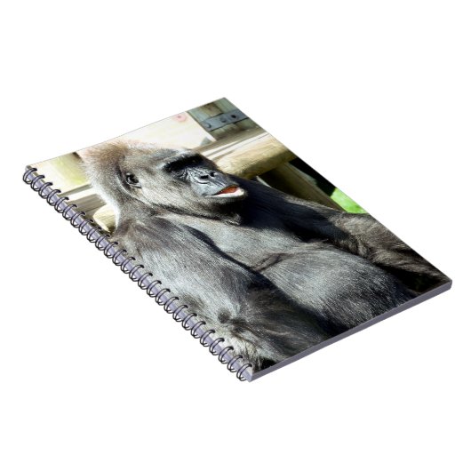 ゴリラ ノートブック (右側)