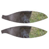 ゴリラ バスケットボール (パネル)