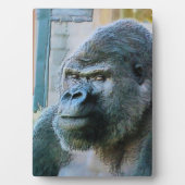 ゴリラ フォトプラーク (正面)