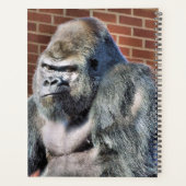 ゴリラ プランナー手帳 (裏面)