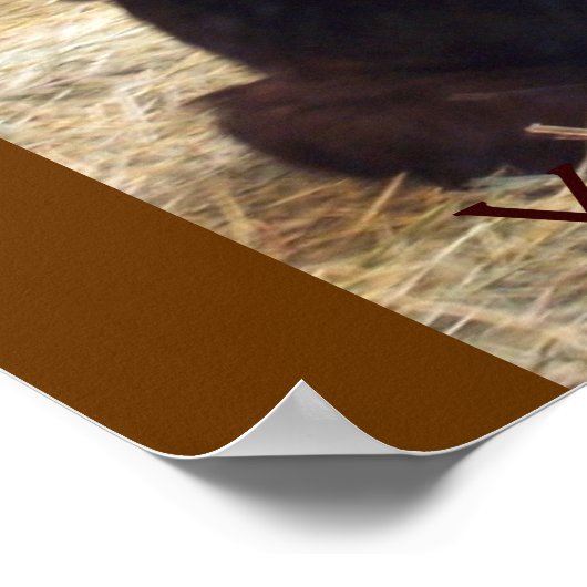 ゴリラ ポスター (角)