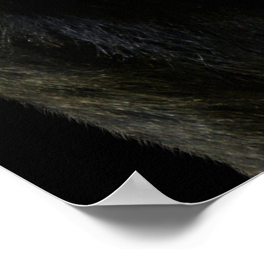 ゴリラ ポスター (角)