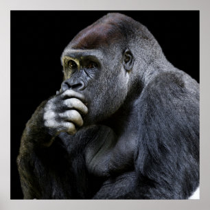 ゴリラ ポスター