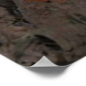 ゴリラ ポスター (角)