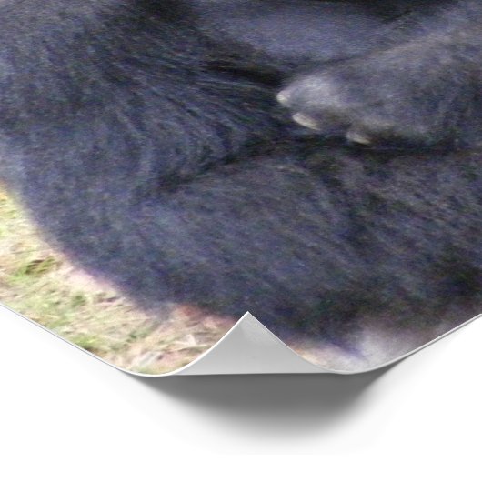 ゴリラ ポスター (角)