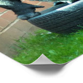 ゴリラ ポスター (角)