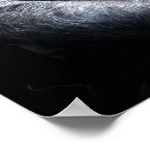 ゴリラ ポスター (角)