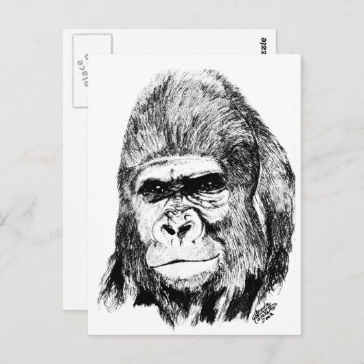 ゴリラ ポストカード (正面/裏面)