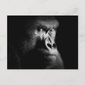 ゴリラ ポストカード (正面)