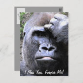 ゴリラ_ ポストカード (正面/裏面)