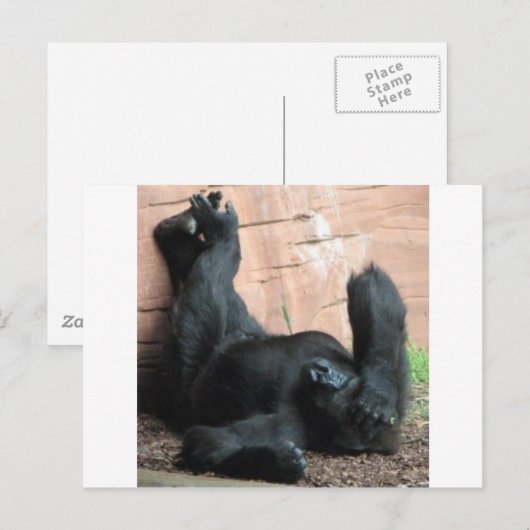 ゴリラ ポストカード (正面/裏面)