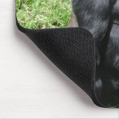 ゴリラ マウスパッド (コーナー)