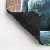 ゴリラ マウスパッド (コーナー)