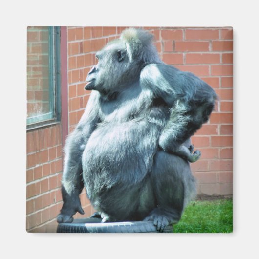 ゴリラ マグネット (正面)