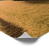 ゴリラ、夕暮れ時に銀バック ポスター (角)