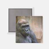 ゴリラ、磁石 マグネット (正面/裏面)