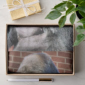 ゴリラ 薄葉紙 (ギフト)