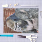 ゴリラ 薄葉紙 (クラフト)