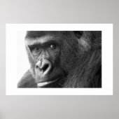 ゴリラ#1 ポスター (正面)