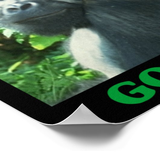 ゴリ救ラス ポスター (角)