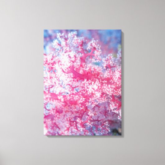 ゴルゴニア珊瑚 キャンバスプリント (正面)