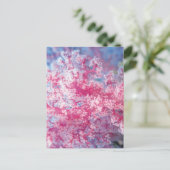 ゴルゴニア珊瑚 ポストカード (スタンド正面)