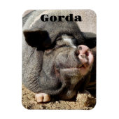 ゴルダ磁石 マグネット (縦)