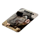 ゴルダ磁石 マグネット (左側)