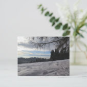 ゴルチェ山脈の冬 ポストカード (スタンド正面)