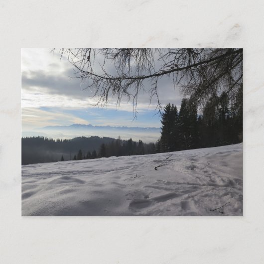 ゴルチェ山脈の冬 ポストカード (正面)