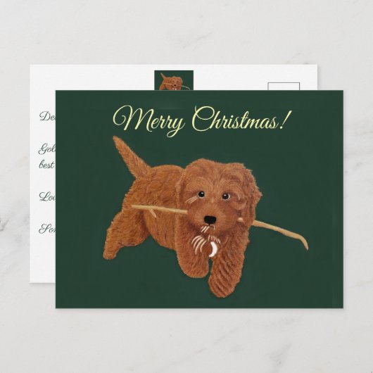 ゴルディドゥードル シーズンポストカード (正面/裏面)