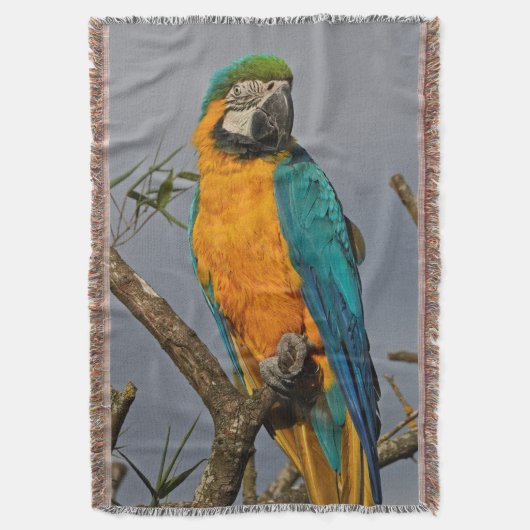 ゴルディブルーブランケット スローブランケット (正面縦)