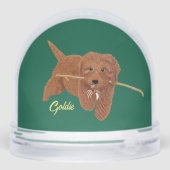 ゴルディー ゴールデンドゥードル (裏面)