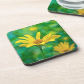 ゴルディ コースター (左側)