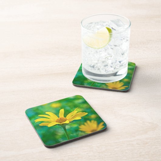 ゴルディ コースター (右側)