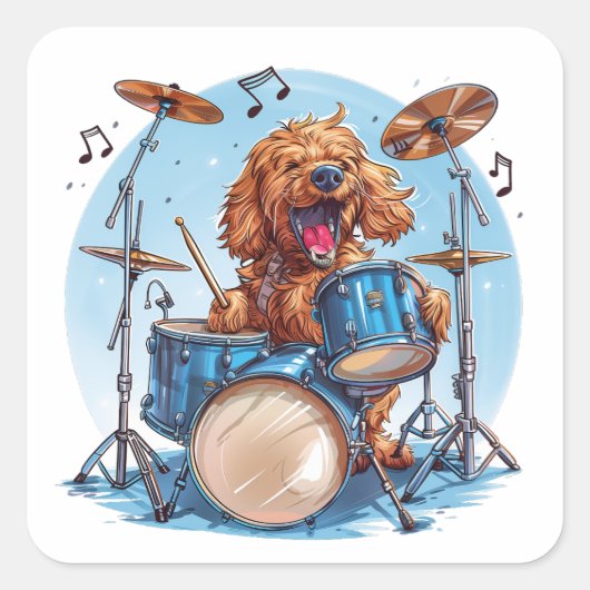 ゴルデンドゥードル犬がドラム演奏 スクエアシール (正面)