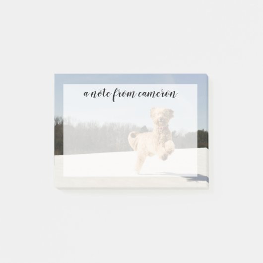 ゴルデンドランニングルスルーフィールド ポストイット (正面)