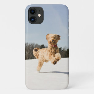 ゴルデンドランニングルスルーフィールド iPhone 11 ケース