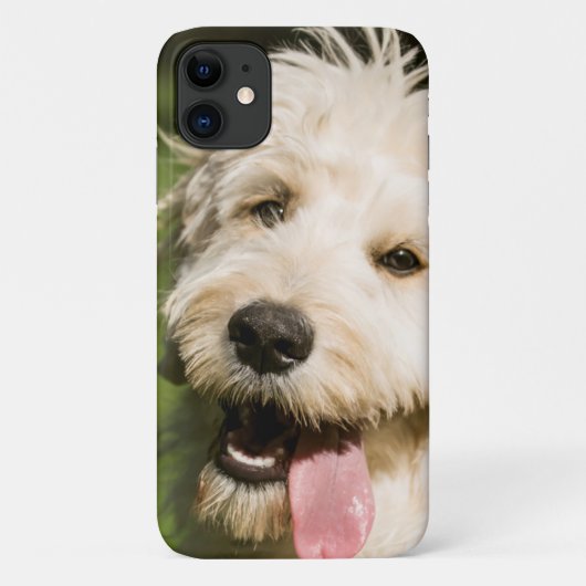 ゴルデンドルの子犬のあえぎ Case-Mate iPhoneケース (裏面)