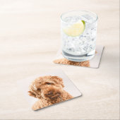 ゴルデンドルスタジオポートレート スクエアペーパーコースター (インサイチュ)