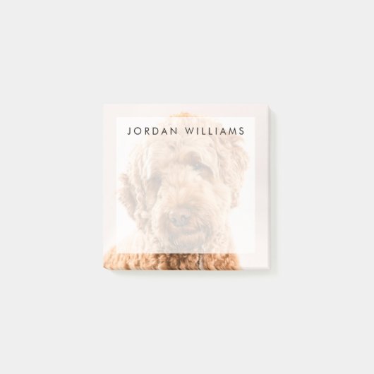 ゴルデンドルスタジオポートレート ポストイット (正面)