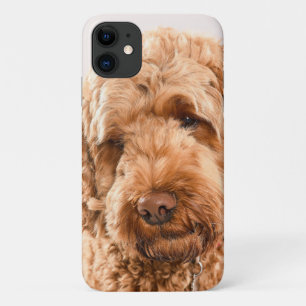 ゴルデンドルスタジオポートレート iPhone 11 ケース