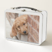 ゴルデンドルパピーピーピーキング メタルランチボックス (正面)