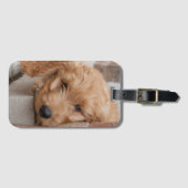 ゴルデンドルパピーピーピーキング ラゲッジタグ (正面横)