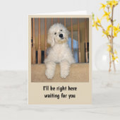 ゴルデンドル任意の大事な行事カード カード (黄色い花)