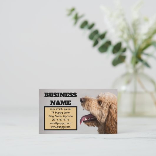 ゴルデンドル犬 名刺 (スタンド正面)