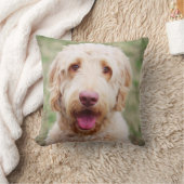 ゴルデンドル·スマイル クッション (ブランケット)