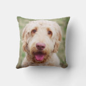 ゴルデンドル·スマイル クッション (裏面)